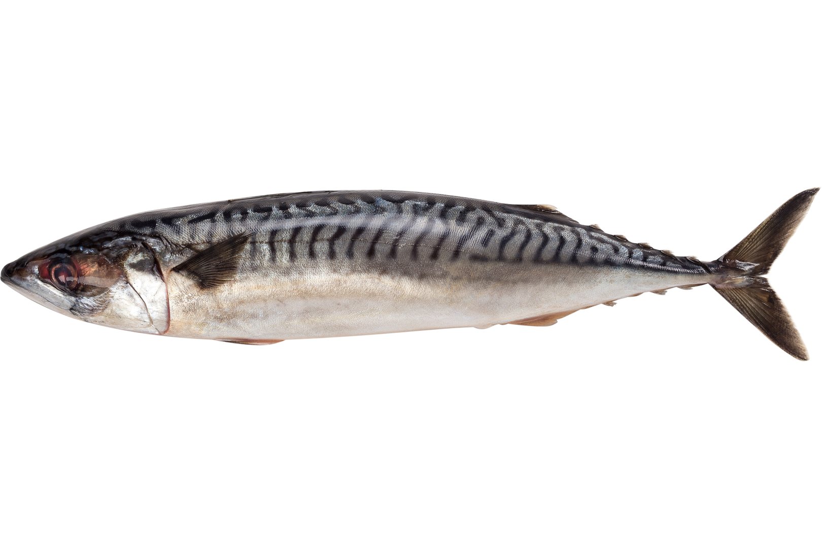 Фото Бочковая соленая рыба