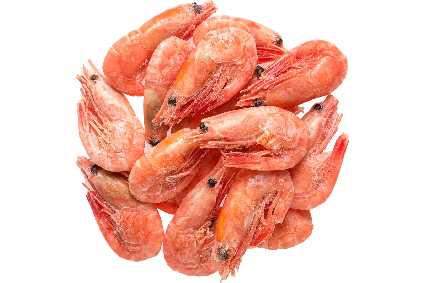 Photo Frozen shrimps