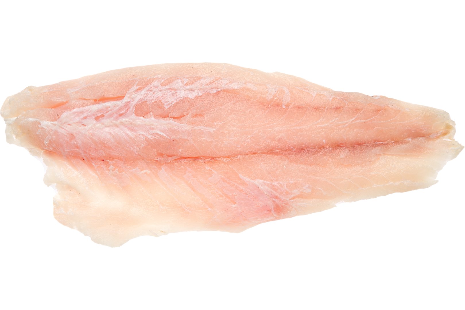 Photo Nile perch fillet defrosted