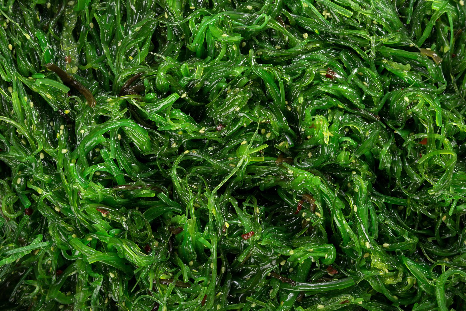 Photo Hayashi Wakame seaweed salad