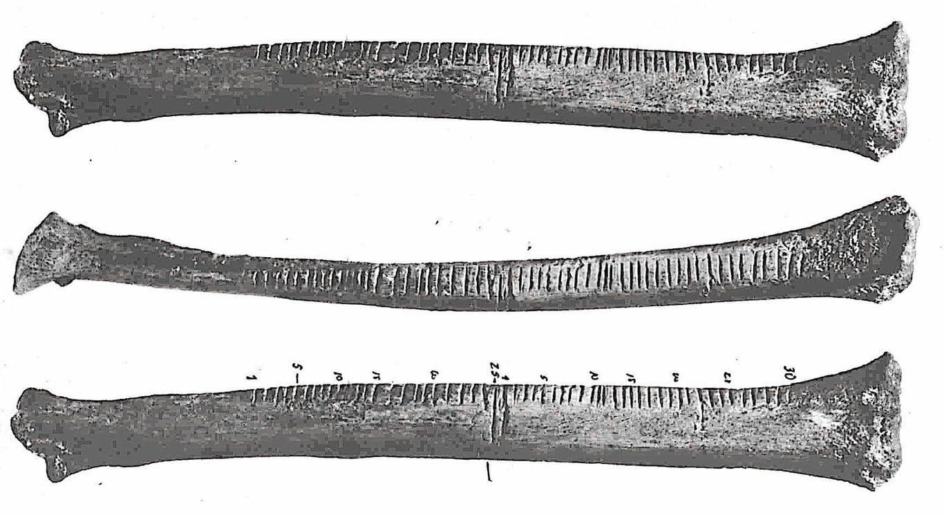  Wolf Bone Tally Marks