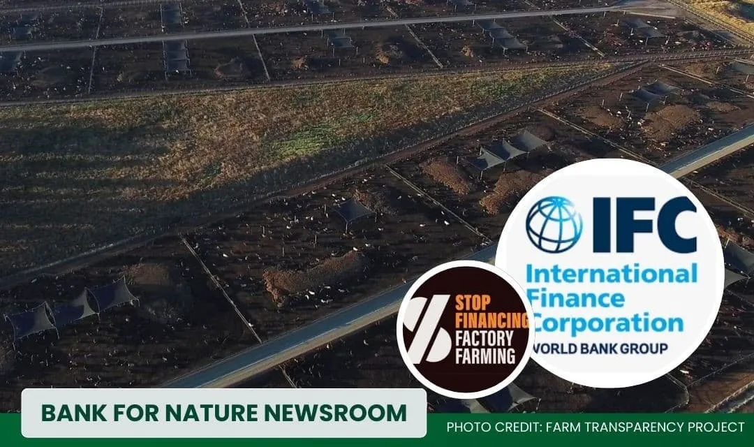 The World Bank in the Spotlight: Financing an Industry Killing Sustainable Development