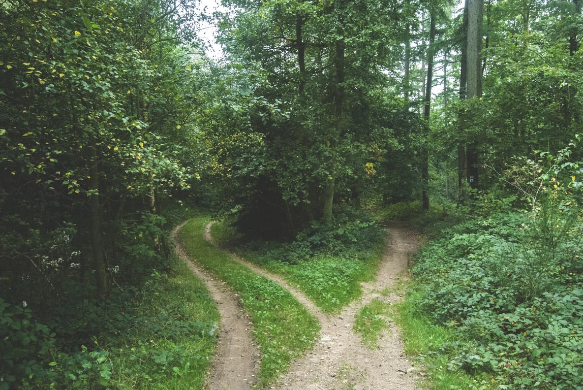 A fork in the road