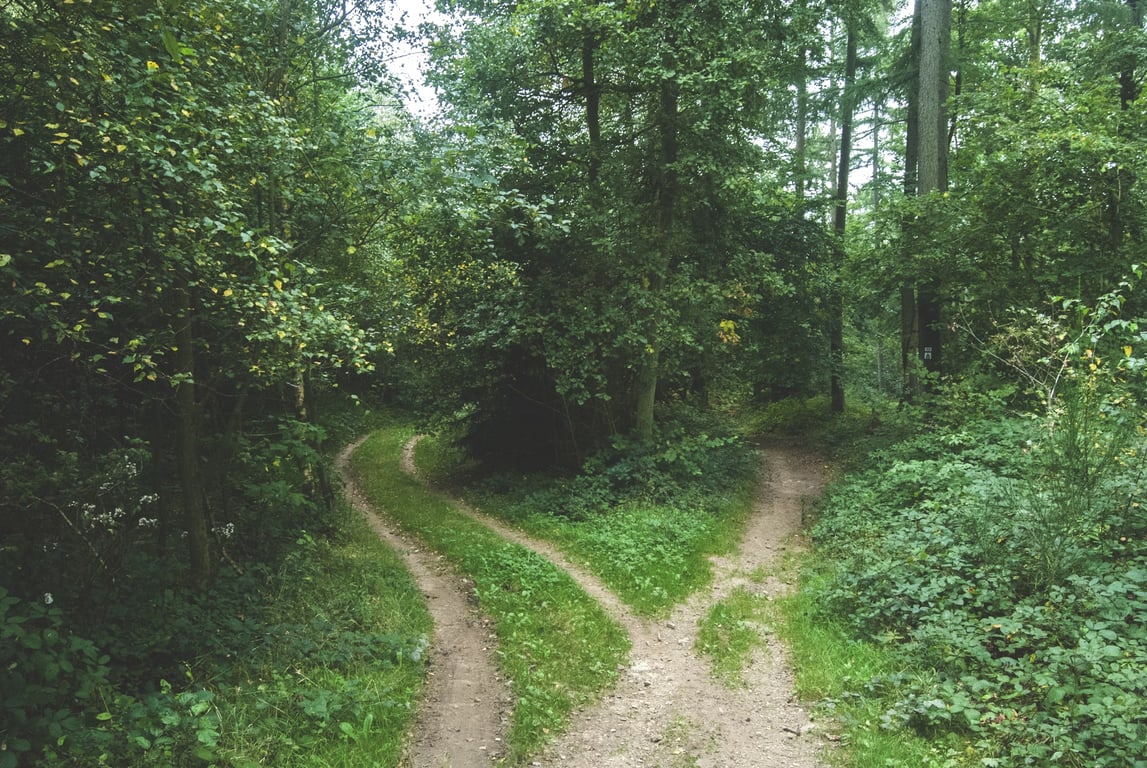 A fork in the road