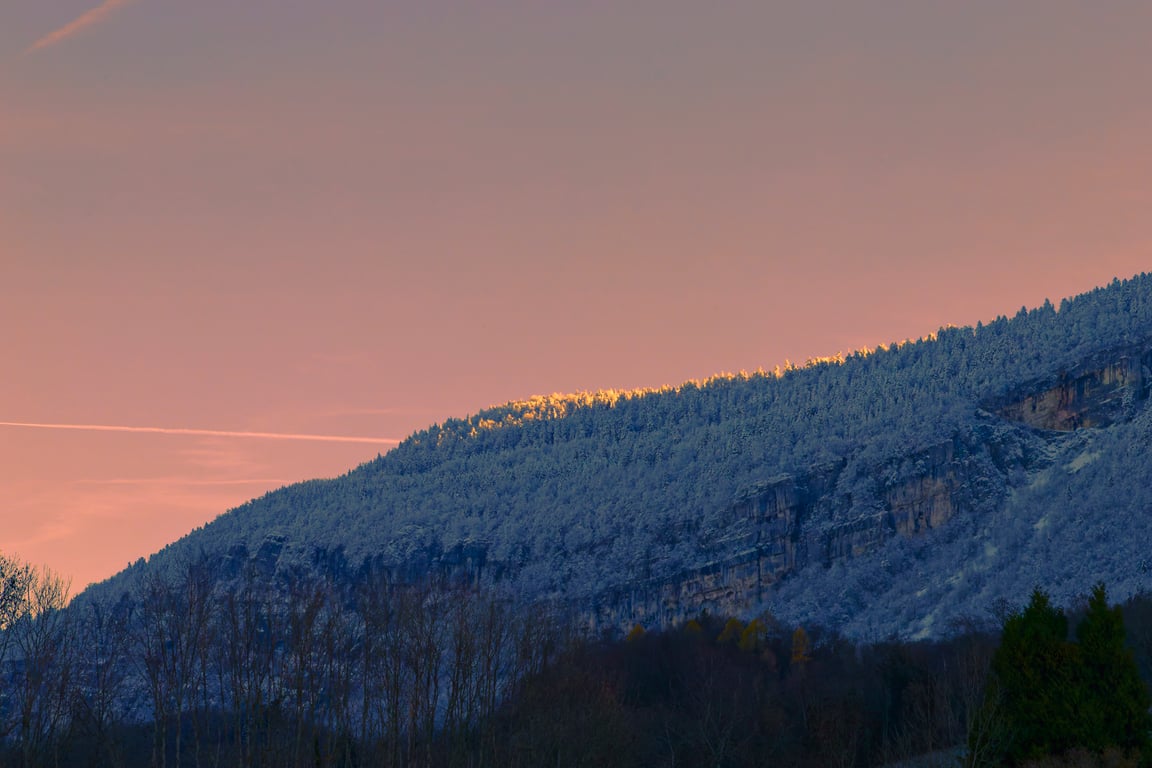 Le soleil rasant le sommet des sapins de la montagne de Bande en Savoie dans les Bauges