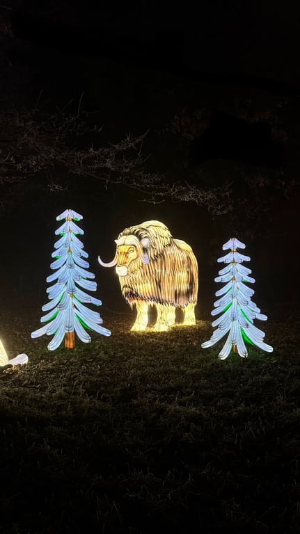 Un mammouth illuminé au safari de Peaugres 