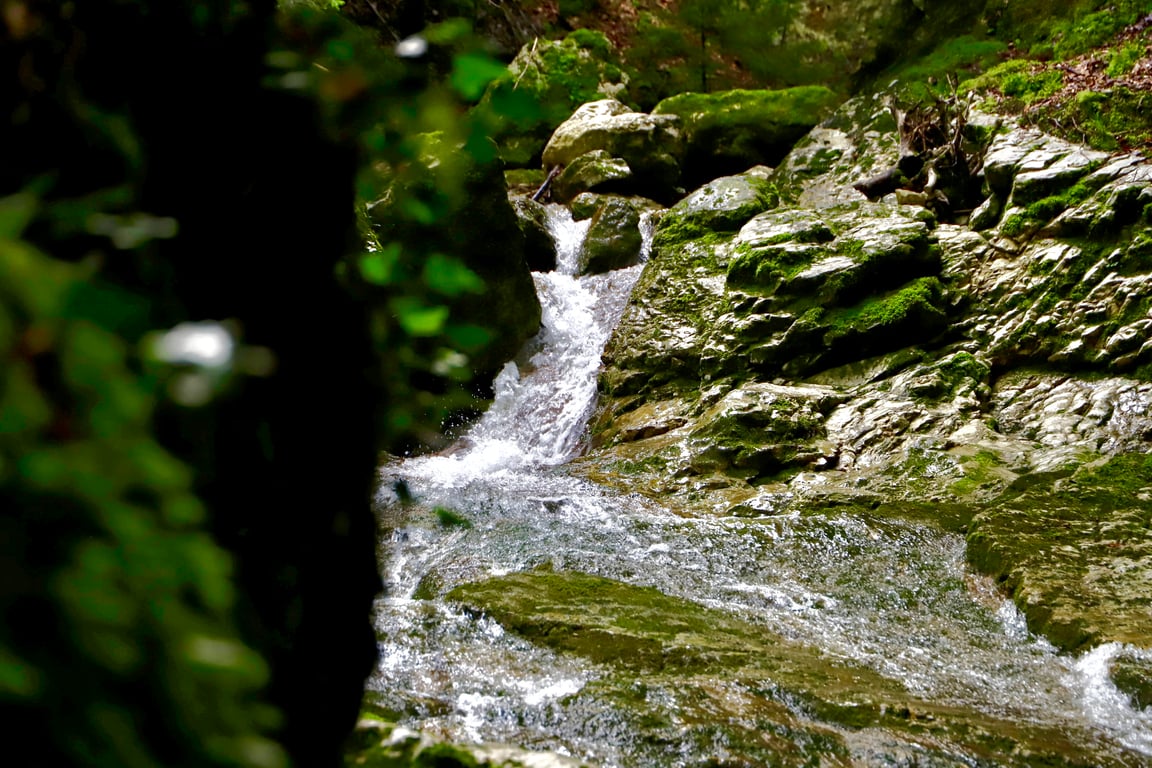   Le Sierroz, eau du lac du Bourget
