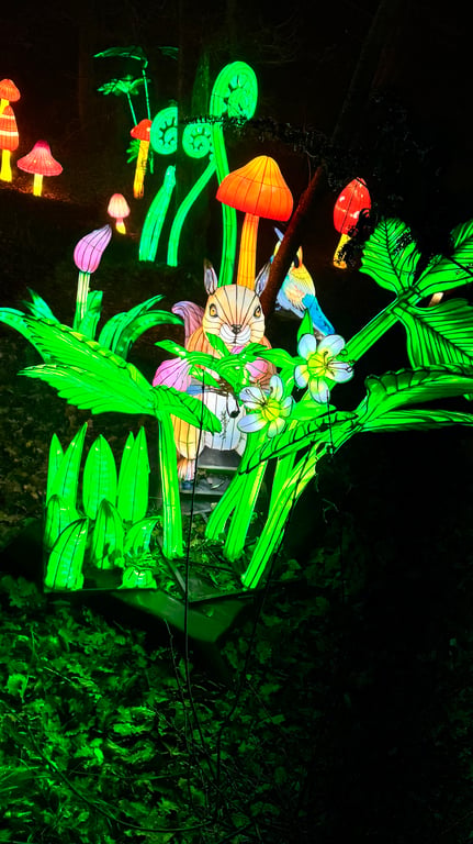 Illumination Zoo de Peaugres