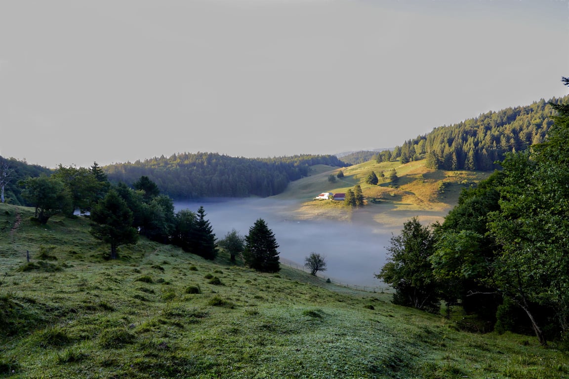 L'arrivée au Creux de Lachat