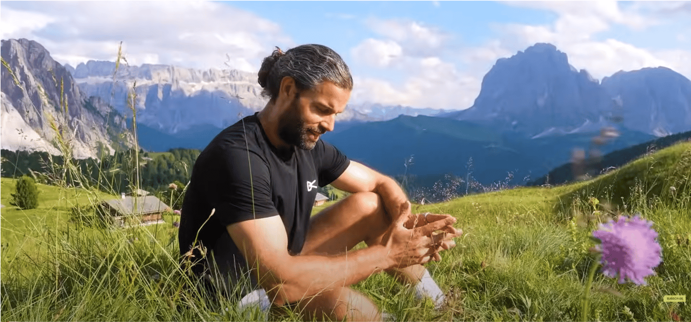 Zen Business Profits