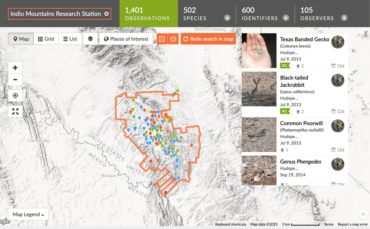 Screenshot of iNaturalist map of Indio Mountains Research Station boundary.