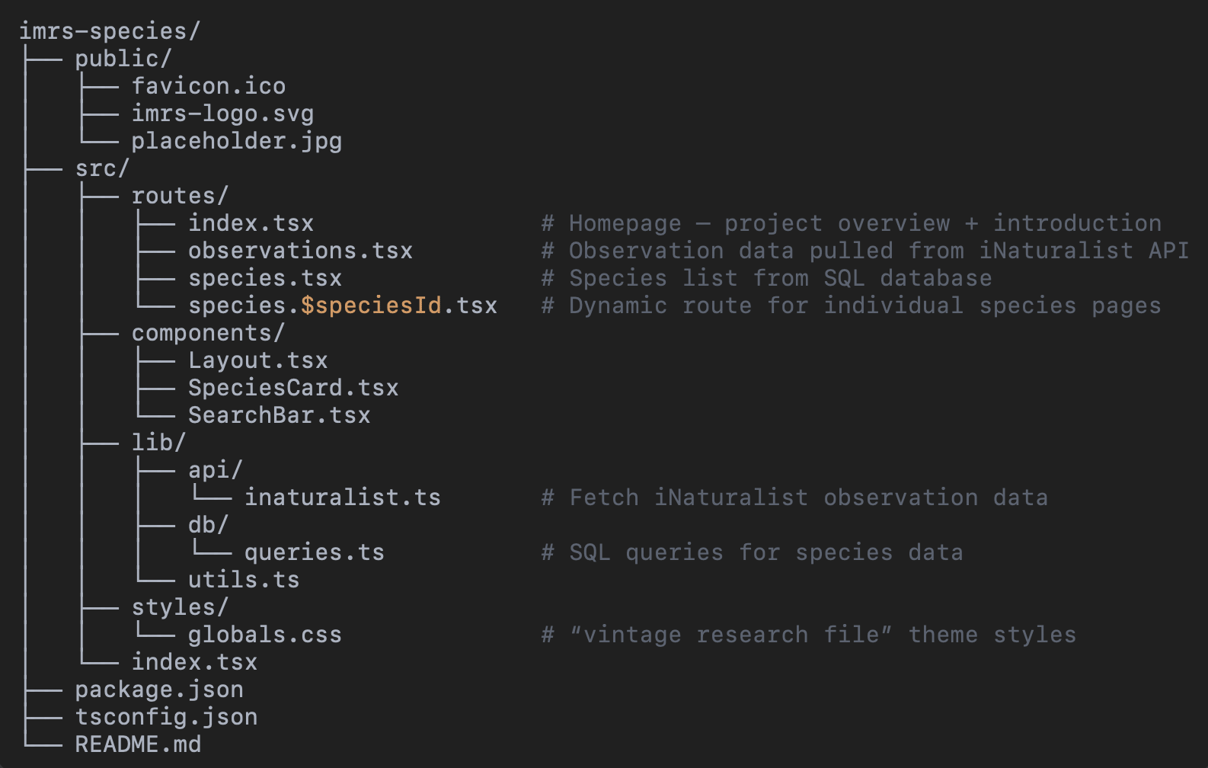 file structure tree of initial Tan Stack setup
