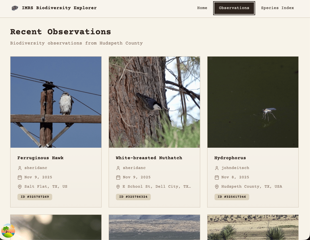 Screen shot of iNaturalist observations in grid view