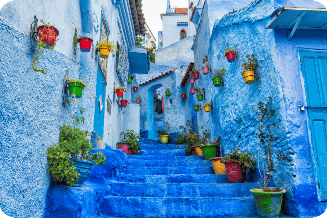 A blue staircase nestled between blue buildings. The walls and steps are decorated with colourful plant pots.