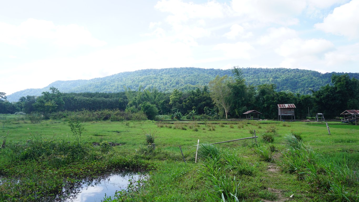 บ้านพี่หนูดี