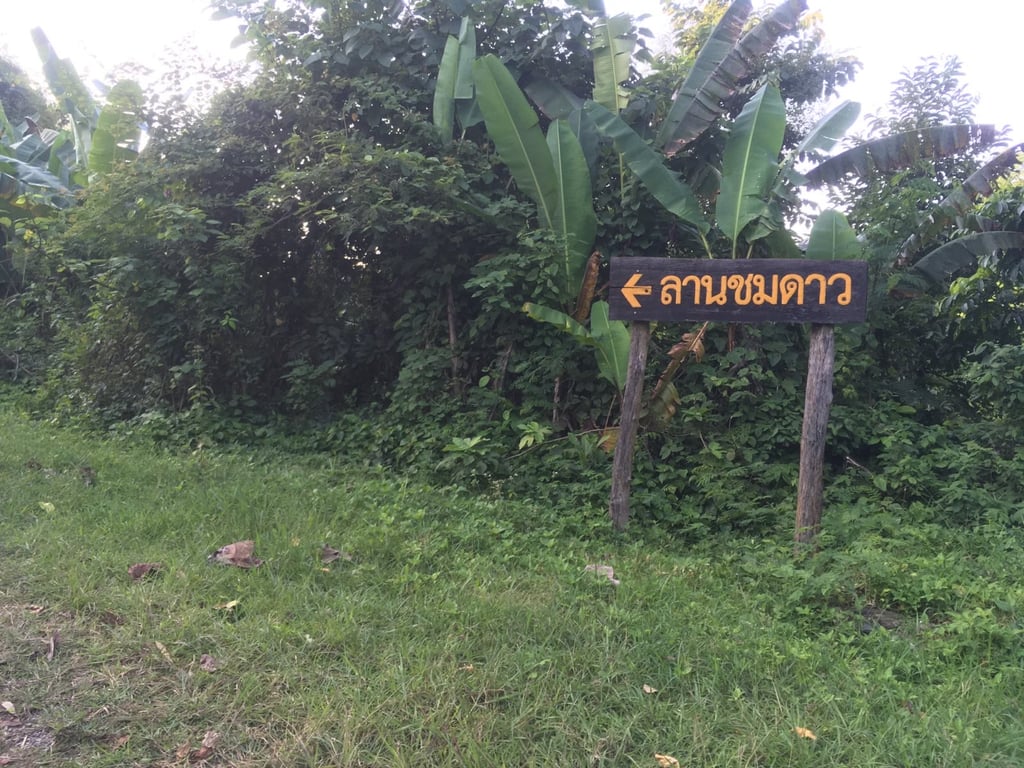 ทางไปลานชมดาว ตาดหมอก