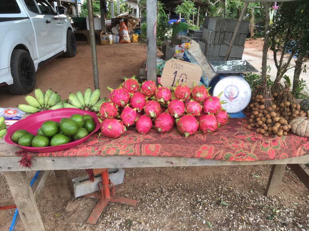 แก้วมังกรกับอะโวคาโด้