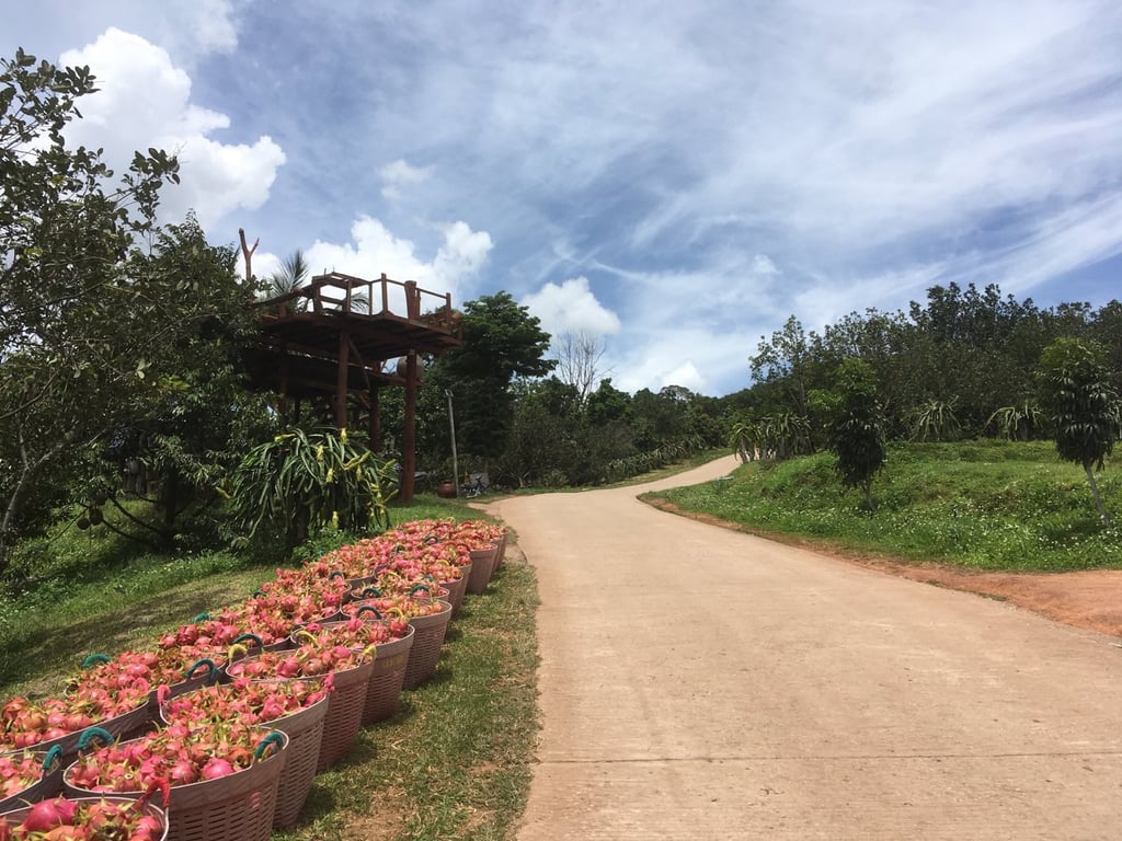 ไปบ้านระเบียงเมาว์