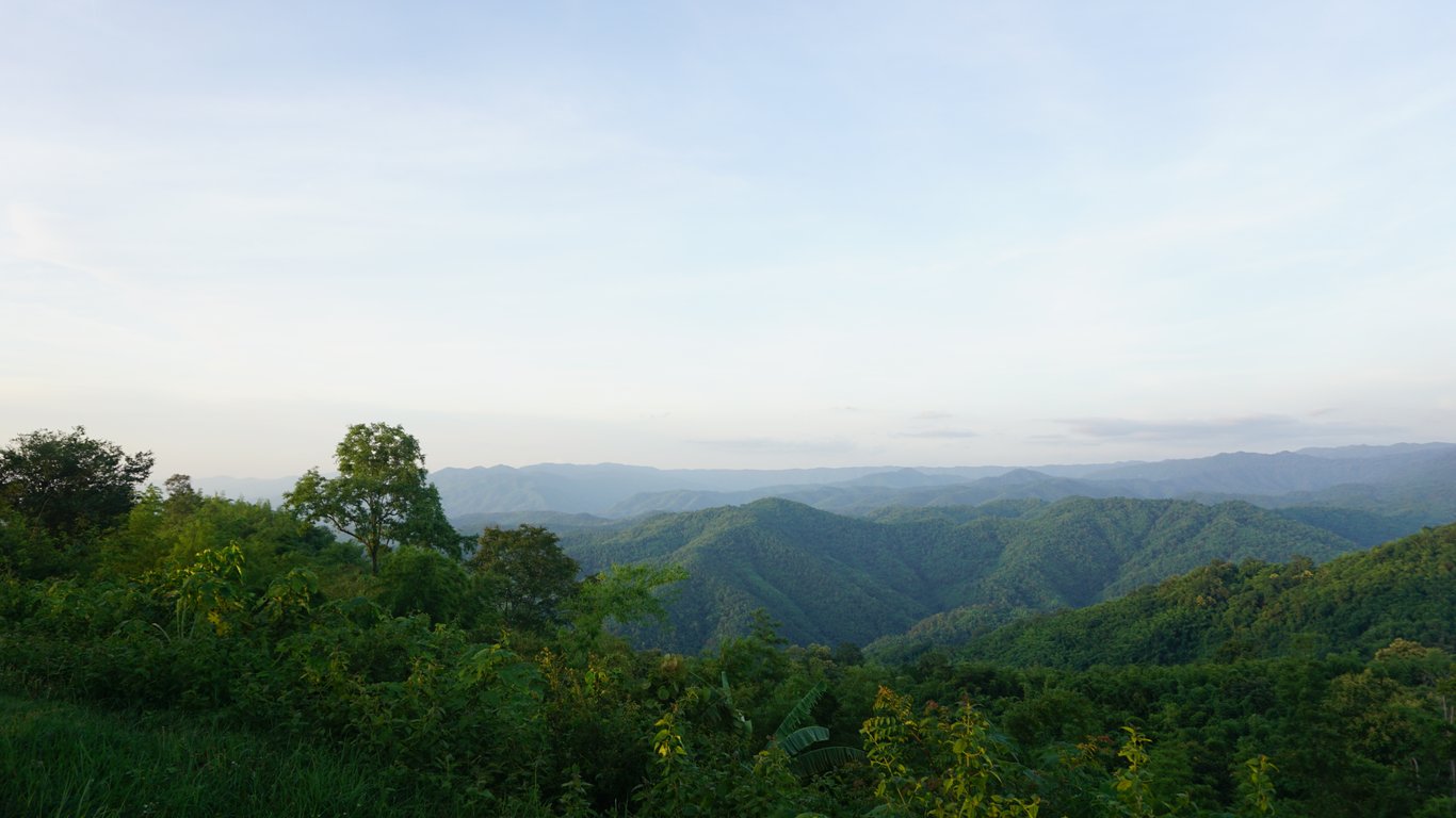 ลานชมดาว ตาดหมอก