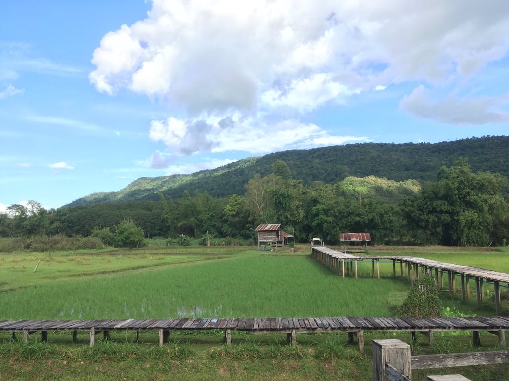 บ้านพี่หนูดี ที่ภูเรือ