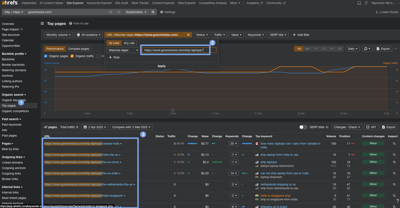 Using Ahref filter to find traffic to pSEO route segments