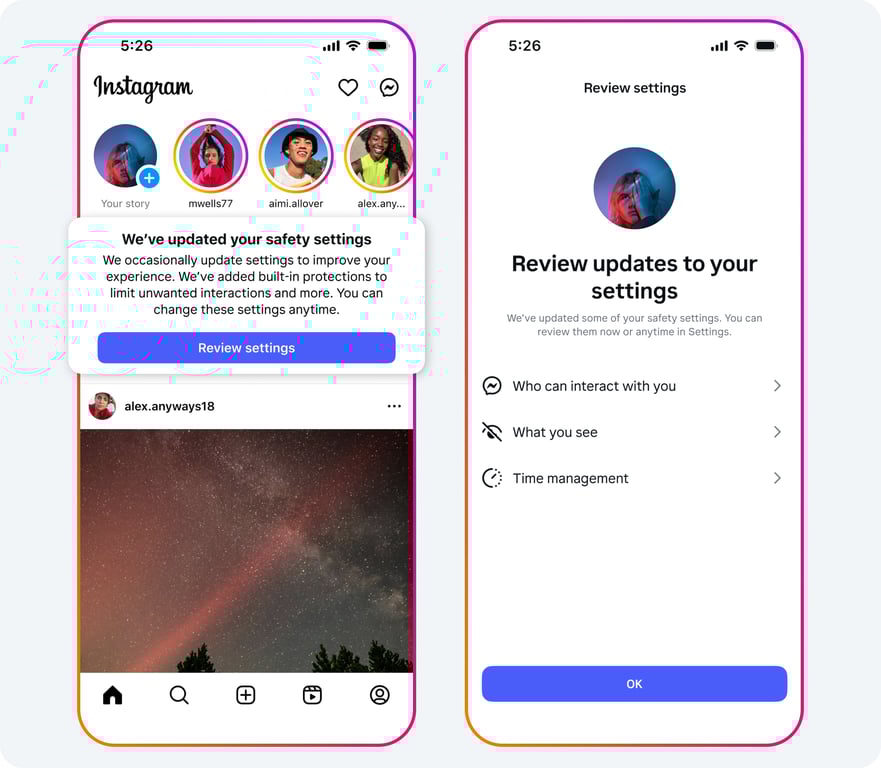 Image showing in-app prompt to review updated safety settings | Threadsaver.in