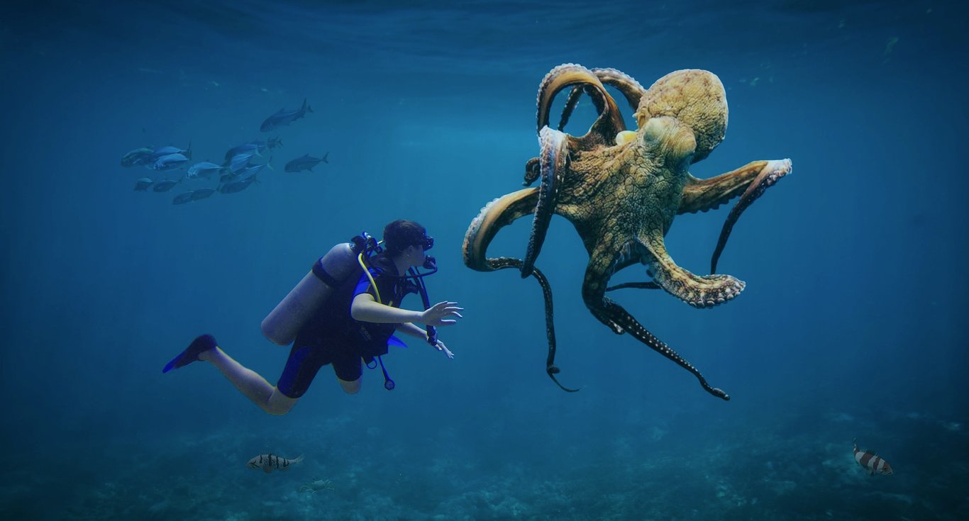 Bob Pacheco：使用Argo和Kubernetes进行Postgres GitOps