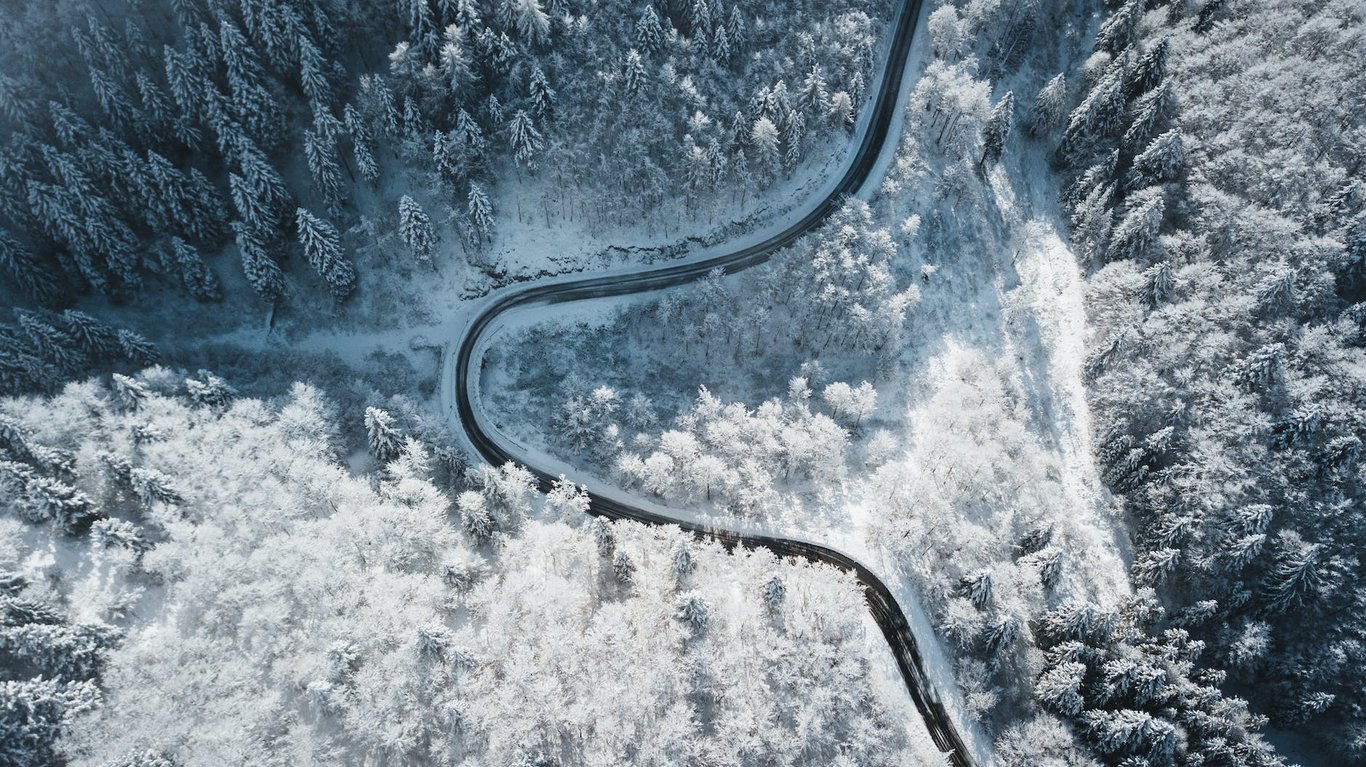 Aerial View of Road in the Middle of the Forest