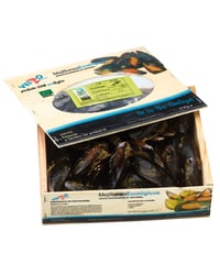 Mejillón ecológico kg