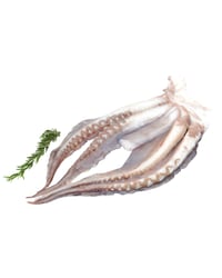 Potón del Pacífico/Rejos desconge. kg