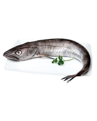 Merluza/Merluza volanta 1-2 kg