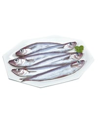 Bacaladilla/Lirio kg