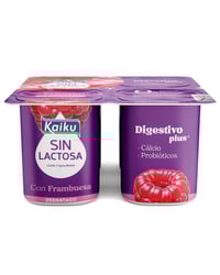 Kaiku sin lactosa desnatado con frambuesa 4x125 g