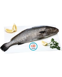 CORVINA KG