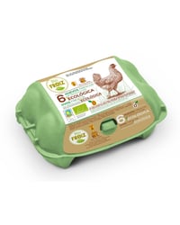 Huevos Froiz ecológicos categoría A talla M/L 6 u