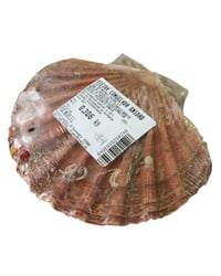 Vieira congelada unidad