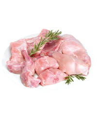 Conejo joven peso aproximado 1.35 kg