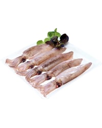 Calamar Patagónico descongelado kg