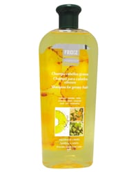 Champú Froiz cabello grasos 500 ml