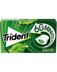 Chicle Trident 60 minutos hierbabuena 22 g
