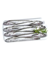Merluza/Pescadilla americana kg