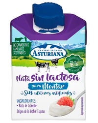 Nata Asturiana montar sin lactosa 200 ml