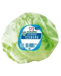 Lechuga iceberg u