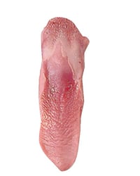 Lengua cerdo frescas-refrigerada kg