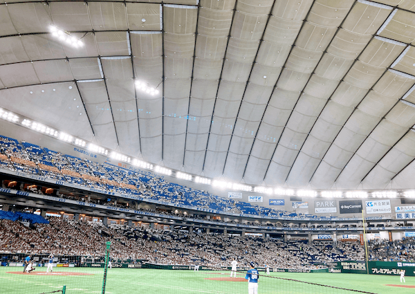 shironokiseki-in-tokyodome-2024-fieldseat.png