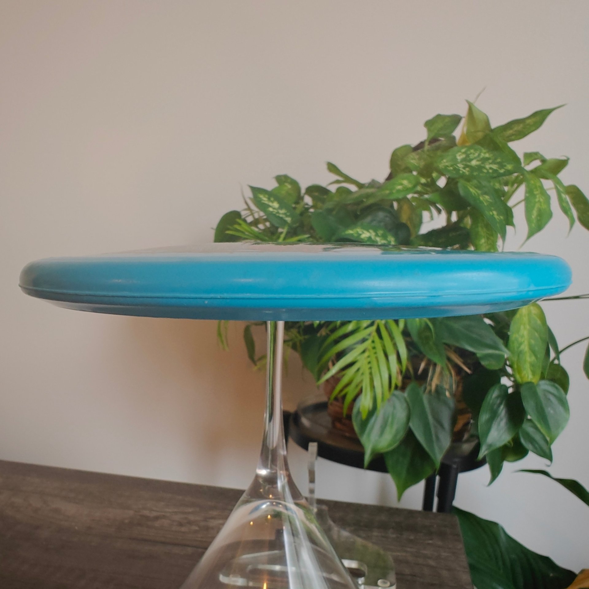 Innova XXL R-Pro War Pig Special Edition (Field Tested) - 173g