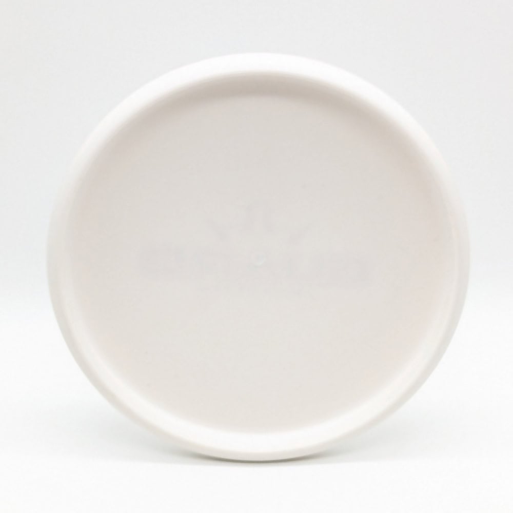 NEW Dynamic Discs Prototype Prime Guard - 174g