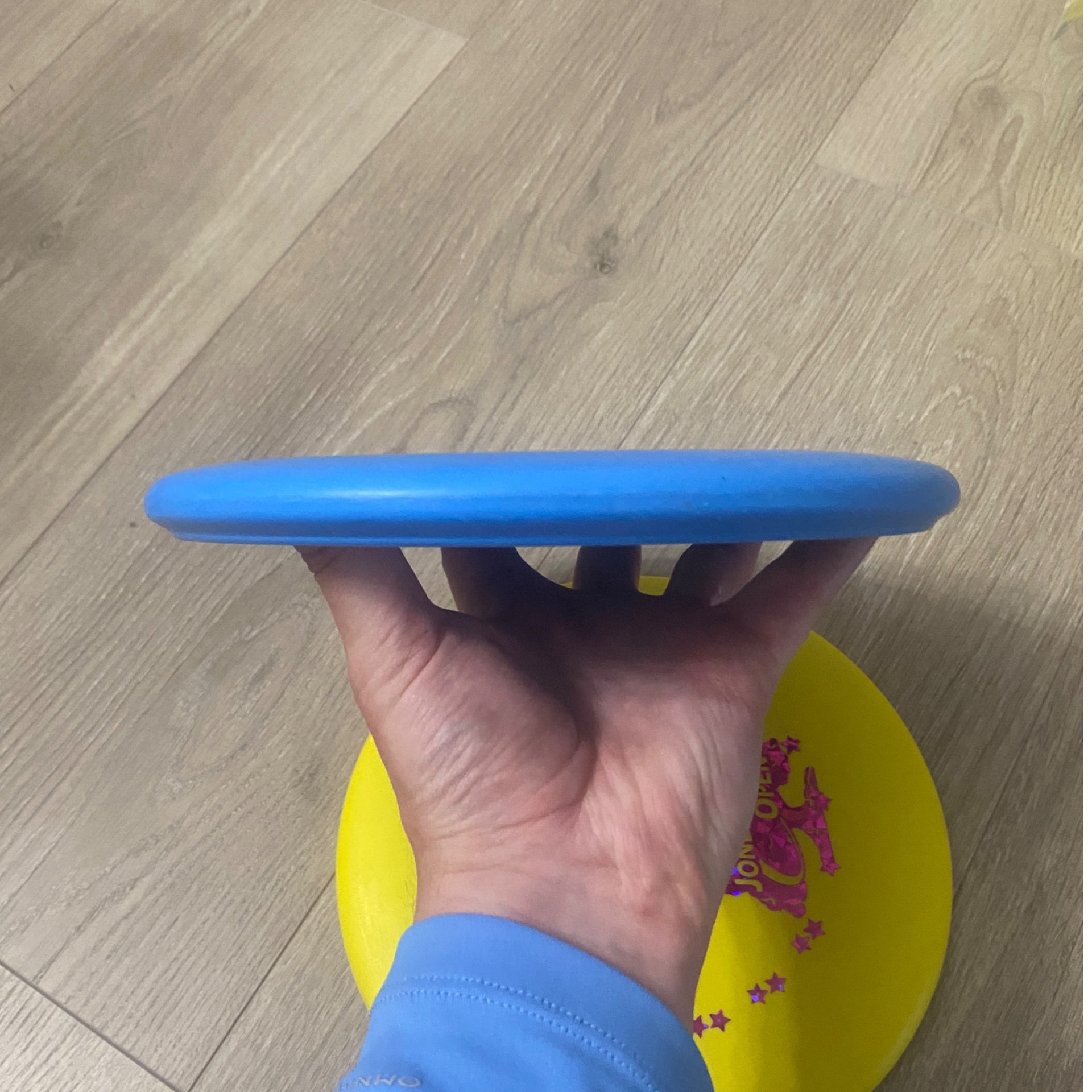 (2) Dynamic Discs Prime Judge (Both) Jonesboro Misprint