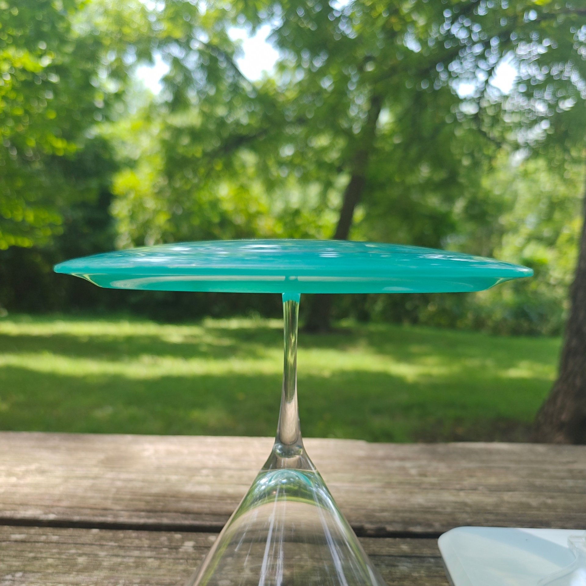 2022 Pro Worlds Fundraiser Westside Discs VIP Ice Chameleon Boatman - 175g