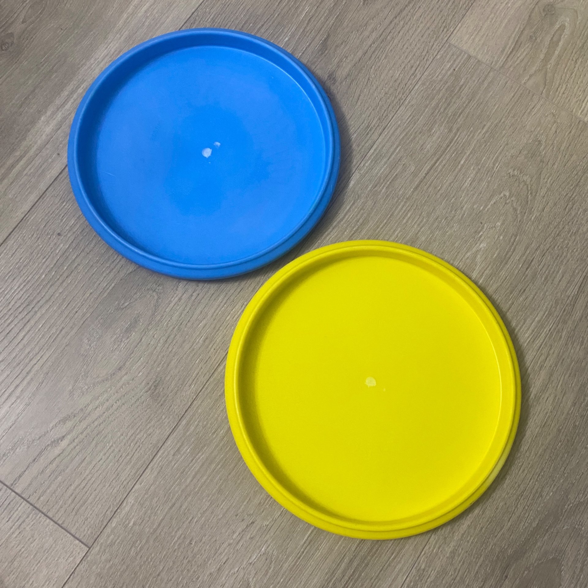 (2) Dynamic Discs Prime Judge (Both) Jonesboro Misprint